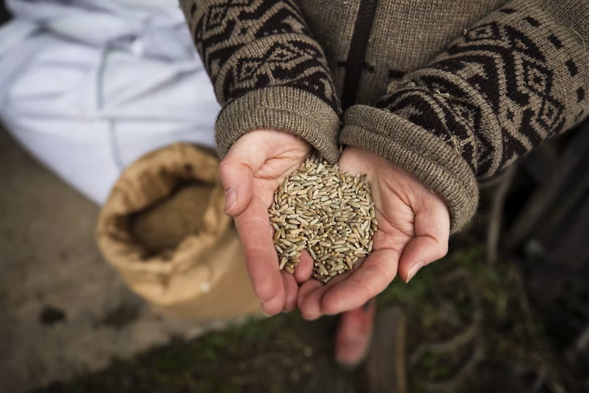 Seeds service